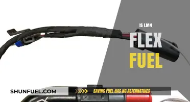 Exploring LM4 Flex Fuel Compatibility: Myths, Facts, and Performance Insights