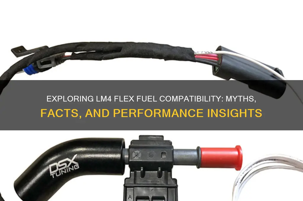 is lm4 flex fuel
