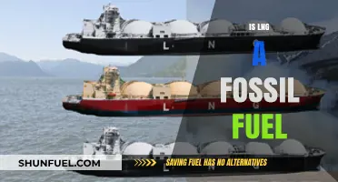 The Truth About LNG and Fossil Fuels