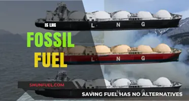 The Truth About LNG: Fossil Fuel or Not?