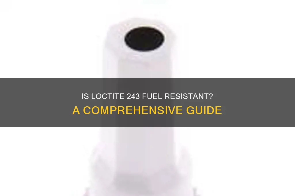 is loctite 243 fuel resistant