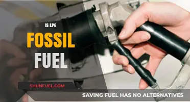 LPG: A Fossil Fuel with a Future?