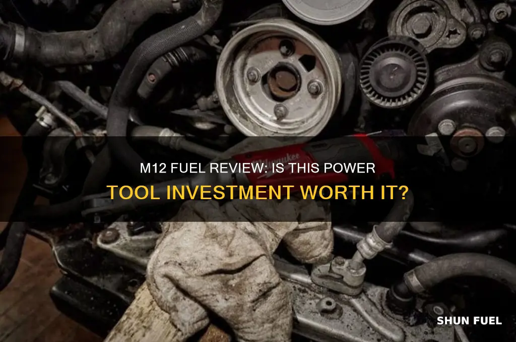 is m12 fuel worth it