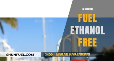 Marine Fuel: Understanding Ethanol Content and Its Impact on Engines