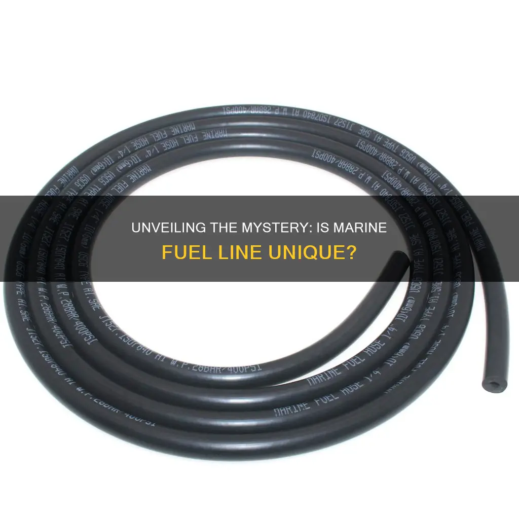 is marine fuel line different