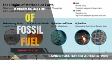 Are Mercury and Lead Fossil Fuels?