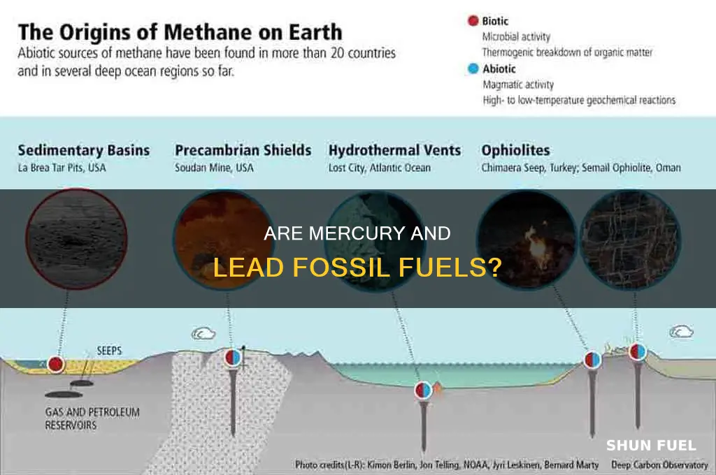 is mercury and lead a type of fossil fuel