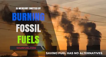 How Fossil Fuels Emit Mercury: A Burning Issue