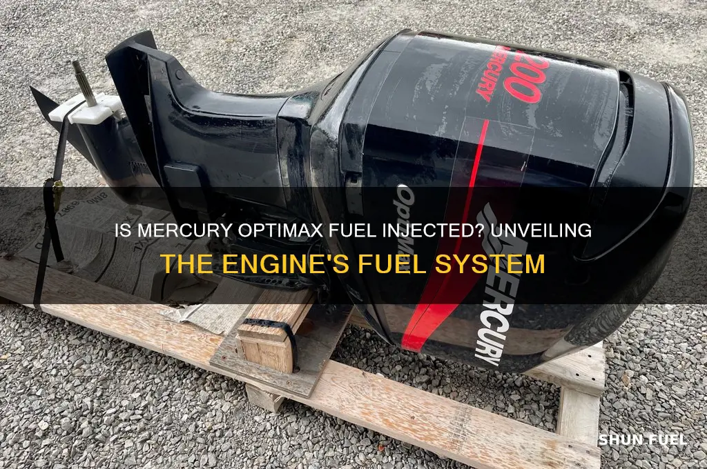 is mercury optimax fuel injected