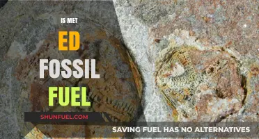 Met Ed's Fossil Fuel Future: What's Next?
