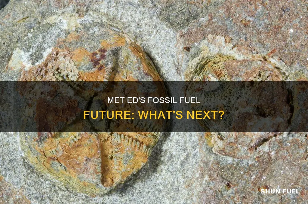 is met ed fossil fuel