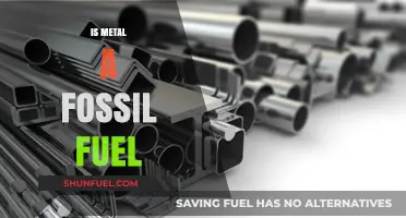 Metal and Fossil Fuels: Any Connection?