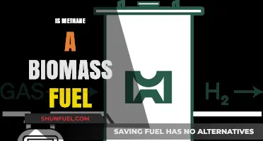 Methane as Biomass Fuel: Sustainable Energy Source or Misconception?