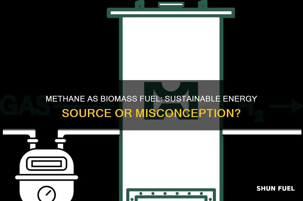is methane a biomass fuel