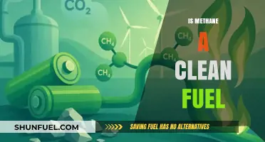 Methane as Clean Fuel: Environmental Promise or Misleading Myth?