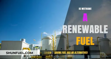 Methane as Renewable Fuel: Sustainable Energy Source or Myth?