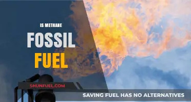 Is Methane a Fossil Fuel? Exploring Its Origins and Role in Energy