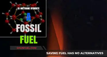 Methane Hydrate: Fossil Fuel or Future Energy Alternative?