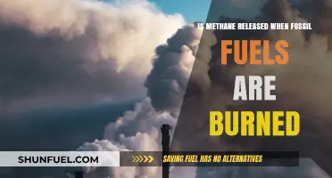 Methane Emissions: The Hidden Impact of Burning Fossil Fuels