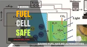 Microbial Fuel Cells: Safety Concerns and Environmental Impact Explained