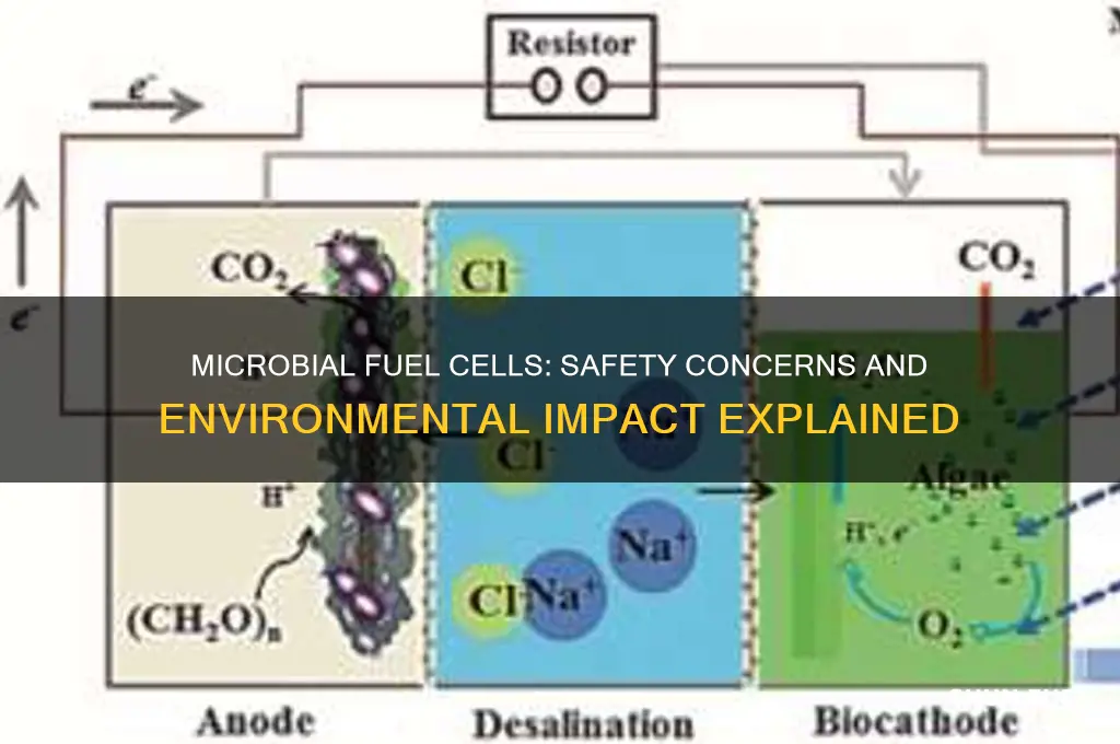 is microbial fuel cell safe