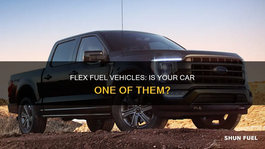 is my car a flex fuel vehicle
