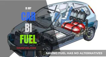 What Cars Run on Bi-Fuel and How They Work