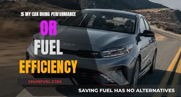 Car Performance and Fuel Efficiency: Finding the Balance