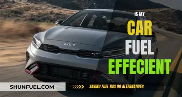 How Fuel-Efficient is My Car?