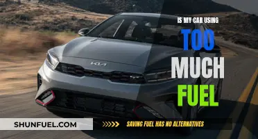 Fuel Efficiency: Is My Car Drinking Too Much?
