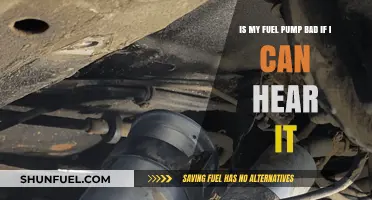 Can You Hear Your Fuel Pump? Signs of Potential Issues