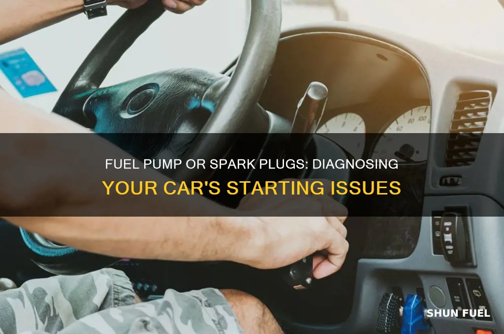 is my fuel pump or spark plugs