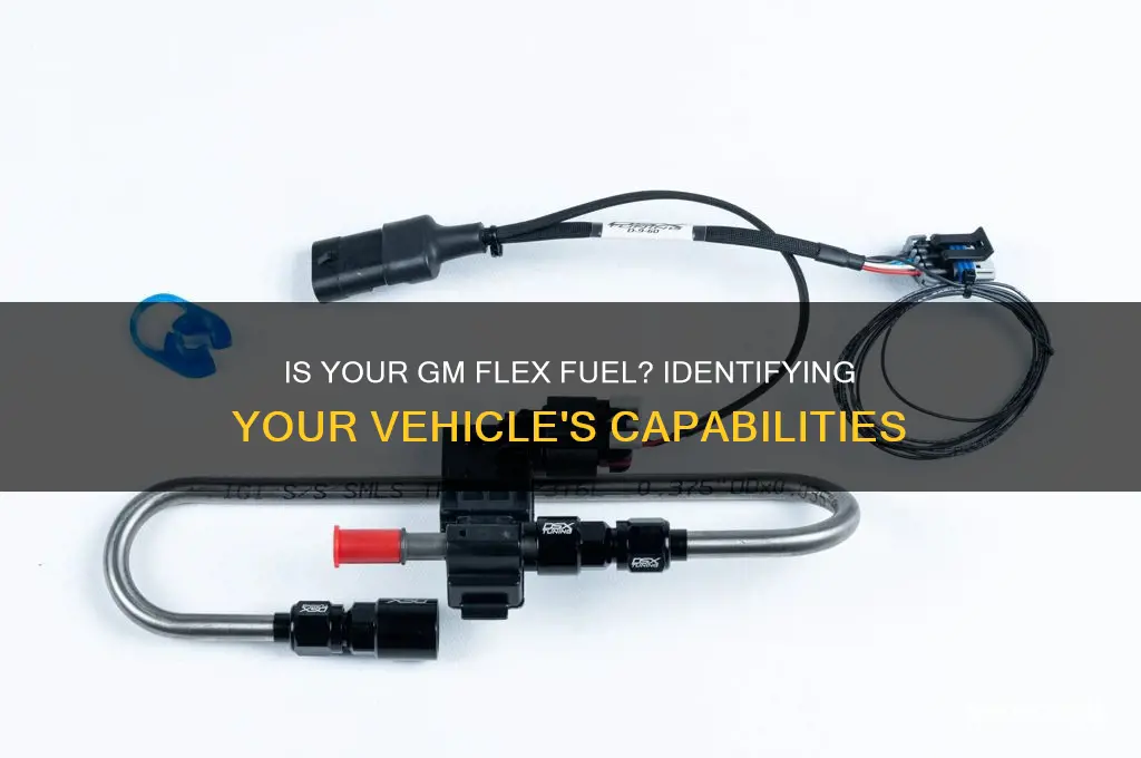 is my gm flex fuel