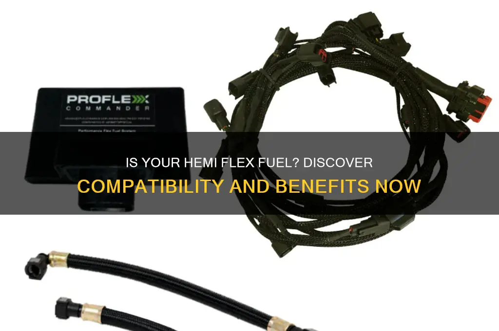 is my hemi flex fuel