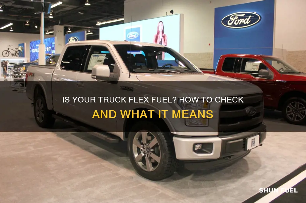 is my truck flex fuel