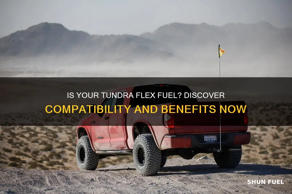 is my tundra flex fuel