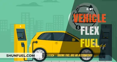 Is Your Vehicle Flex Fuel? How to Check and Benefits