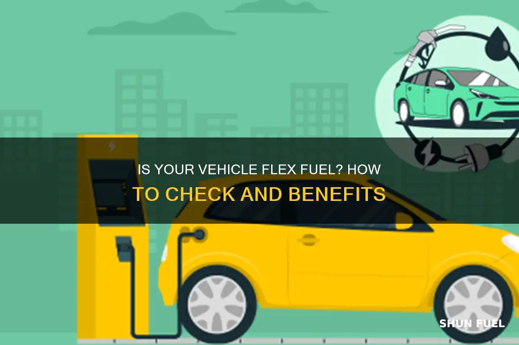 is my vehicle flex fuel