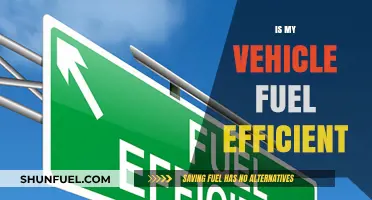 Is Your Vehicle Fuel Efficient? Tips to Maximize Mileage