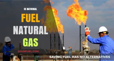 Is National Fuel Natural Gas? Exploring the Energy Source