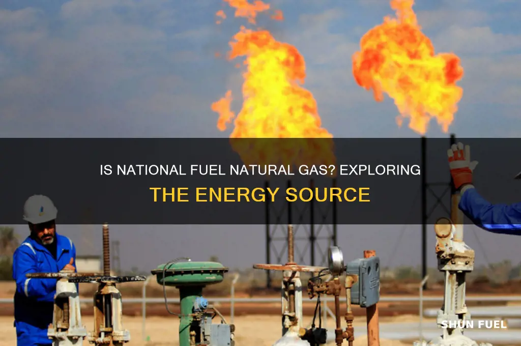 is national fuel natural gas
