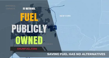 Is National Fuel Publicly Owned? Unraveling Ownership and Implications