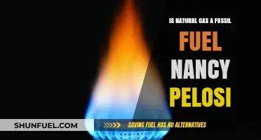 Is Natural Gas a Fossil Fuel? Nancy Pelosi's Stance Explained