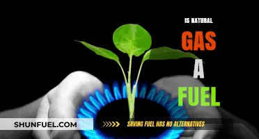 Is Natural Gas a Fuel? Exploring Its Role in Energy Systems