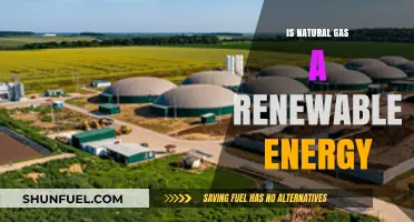 Decoding the Debate: Is Natural Gas a Truly Renewable Energy?