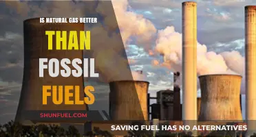 Natural Gas vs. Fossil Fuels: A Cleaner Energy Alternative?