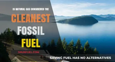 Is Natural Gas the Cleanest Fossil Fuel? Exploring Its Environmental Impact