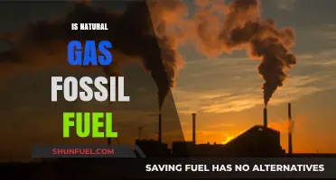 Natural Gas: Fossil Fuel or Green Energy?