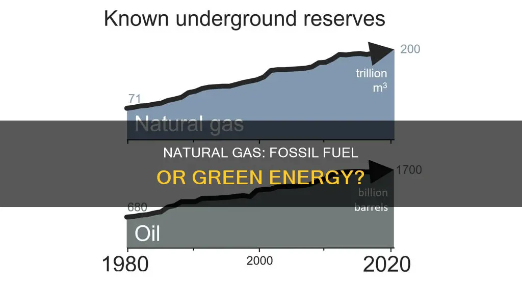 is natural gas fossil fuel