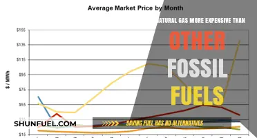 Natural Gas vs. Fossil Fuels: Cost Comparison and Energy Efficiency